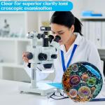 160 Pack Sterile Petri Dishes with Lids