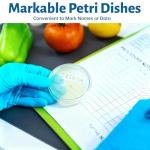 100 Pack Sterile Plastic Petri Dishes with Lids