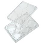 Celltreat 229106 6 Well Tissue Culture Plate with Lid, Sterile, 9.60cm2 Cell Growth Area, Individual Pack (Case of 100)