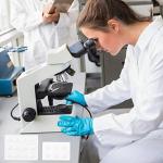 POPETPOP 4pcs Tray 12 spot Plate Board Ceramics Borehole Plate Scientific Color White Suite Culture Plate microplate Products Plate Painting Silas Tool Ceramics