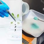 25 Pcs Stainless Steel Lab Spatula Micro Scoop Set Laboratory Tiny Mixing Spatula with Tweezers Long Sampling Spoon for Powders Gel Cap Capsule Filler (25Pcs)