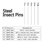 Stainless Steel Insect Pins Kit Specimen Entomology Pins Butterfly Collections Needles Variety Pack for School Lab Entomology Dissection Butterfly Collectors (500 Pieces, 5 Sizes)