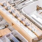 Stainless Steel Insect Pins Kit Specimen Entomology Pins Butterfly Collections Needles Variety Pack for School Lab Entomology Dissection Butterfly Collectors (500 Pieces, 5 Sizes)