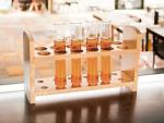 EISCO Wooden Test Tube Rack - Accommodates 12 Tubes, up to 28mm - 10.25" Wide - Premium Polished Beech Wood Construction
