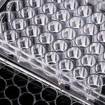 UKCOCO Plastic Premium Culture Plate 48 Well Cell Culture Plate for Lab
