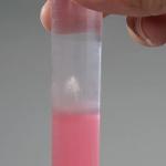 DNA Pendant Necklace Classroom Lab Activity Kit