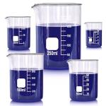 Borosilicate Glass Beaker Set - 5 Sizes