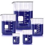 Borosilicate Glass Beaker Set - 5 Sizes