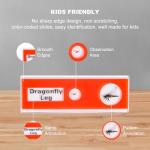 Animal, Insect, Plant Microscope Slides Set for Kids