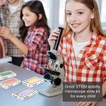 Animal, Insect, Plant Microscope Slides Set for Kids