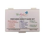 WhizKidsLab 12 Bug Parts Microscope Slides Set