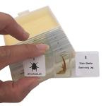 WhizKidsLab 12 Bug Parts Microscope Slides Set