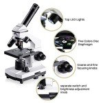 BEBANG 100X-2000X Compound Microscope Kit for All