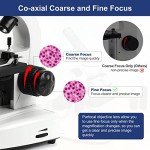 Dual LED Biological Microscope Kit with Phone Adapter