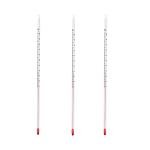 Deschem Glass Celsius Thermometer Set - 0-200℃
