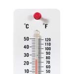 Student Thermometers Set of 10 - Dual-Scale