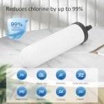 FACHIOO Glass Water Purifier - Gravity Fed Filtration
