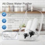 FACHIOO Glass Water Purifier - Gravity Fed Filtration