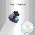 FACHIOO Glass Water Purifier - Gravity Fed Filtration