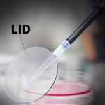 Watch Glass Beaker Cover Set - 6 Pieces