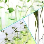 50 Plastic Test Tubes with Rack and Caps