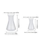 Plastica Erlenmeyer Flask 50ml & 100ml Set
