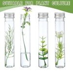 Dandat 80 Pcs Clear Flat Plastic Test Tubes