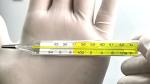 3 Pack Mercury-Free Dual Scale Glass Thermometers