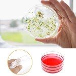 30 Pack Sterile Plastic Petri Dishes with Lids