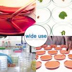 30-Pack Clear Plastic Petri Dishes with Lids