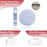Sterile Petri Dishes and Microscope Slide Set