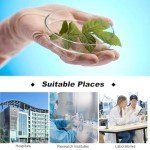 Sterile Petri Dishes and Microscope Slide Set