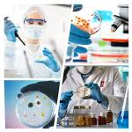 Sterile Thick Plastic Petri Dishes - 100 Pack