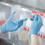 120 Pack Sterile Plastic Petri Dishes with Lids