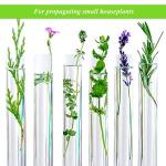 Plastic Test Tubes with Cork Stoppers - 20 Pack