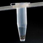 Microcentrifuge Tubes - 1.5ml, 100 Pack