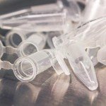 Microcentrifuge Tubes - 1.5ml, 100 Pack