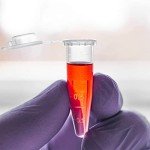 BKMAMLAB 1.5ml Microcentrifuge Tubes, 100 Pack