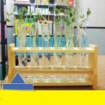 Chiloskit Wood Test Tube Rack for 10ml Tubes