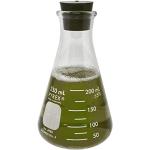 Corning Pyrex 250ml Narrow Mouth Erlenmeyer Flask
