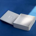 Polystyrene Disposable Cuvettes for Spectrophotometry, 100 Pack