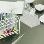 Mikikit 10PCS Disposable Plastic Cuvettes for Spectrophotometers