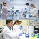 18 Pack 1000 ml Plastic Graduated Beakers