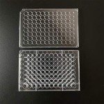 96-Well Tissue Culture Plate with Lid (10 Pack)