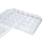 24 Well Bacterial Culture Dishes - Pack of 10