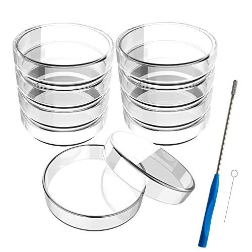 100 mm Glass Petri Dishes with Lids - 10 Pack