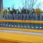 25-Pack 40ml Clear Plastic Test Tubes with Caps