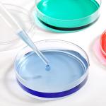 100 Pack Sterile Plastic Petri Dishes with Lids