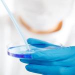 100 Pack Sterile Plastic Petri Dishes with Lids