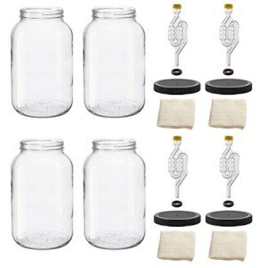 1 Gallon Glass Wide Mouth Jar Set - 4 Pieces